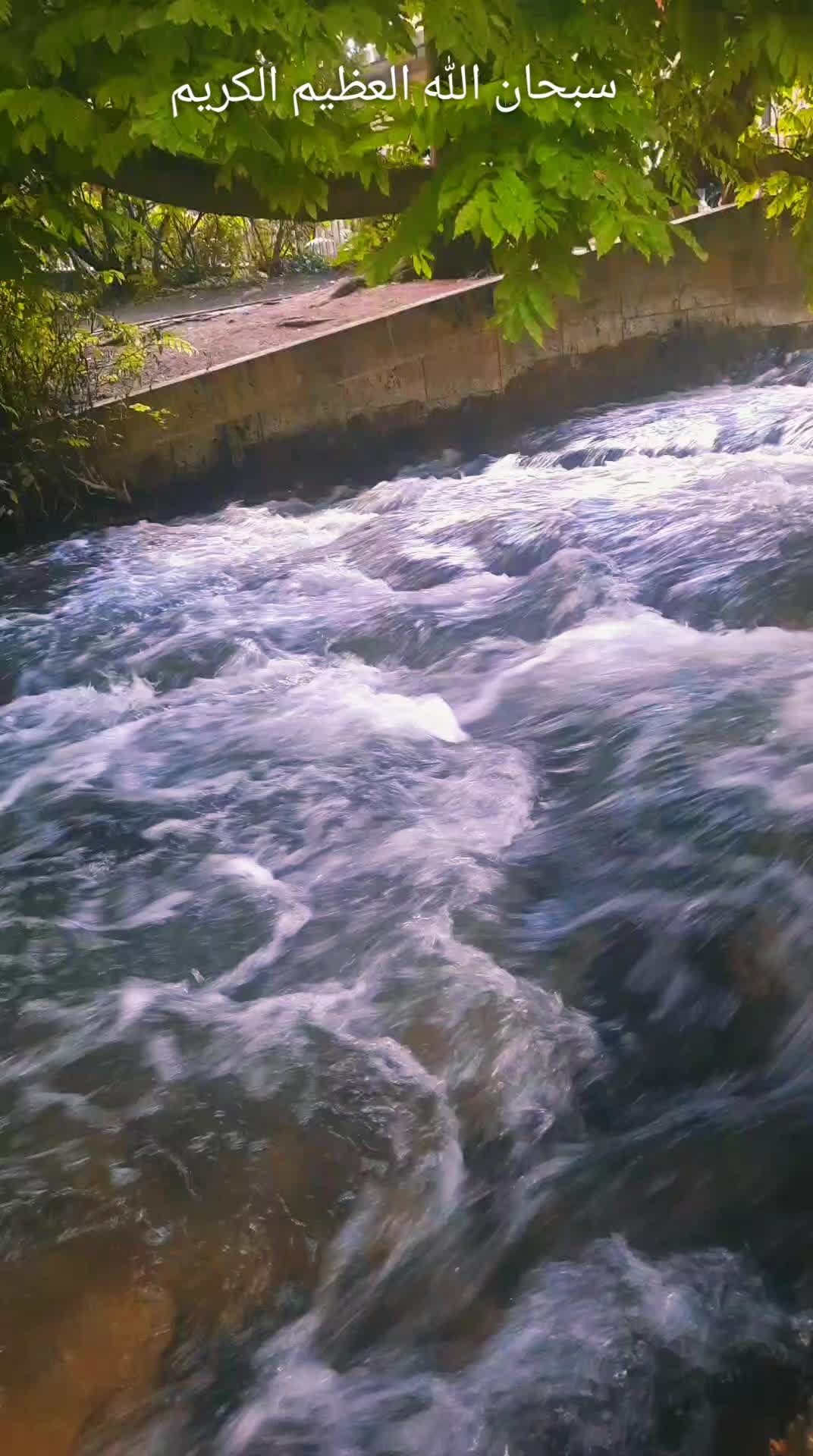 @Abojosef