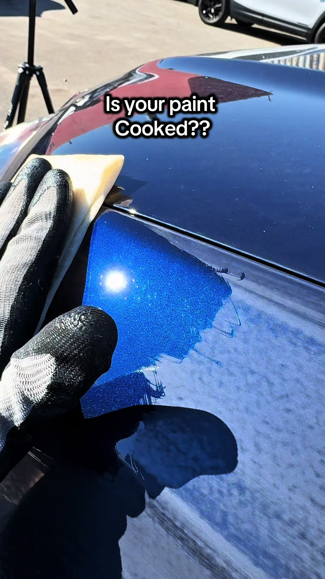 @Shiny Car Stuff