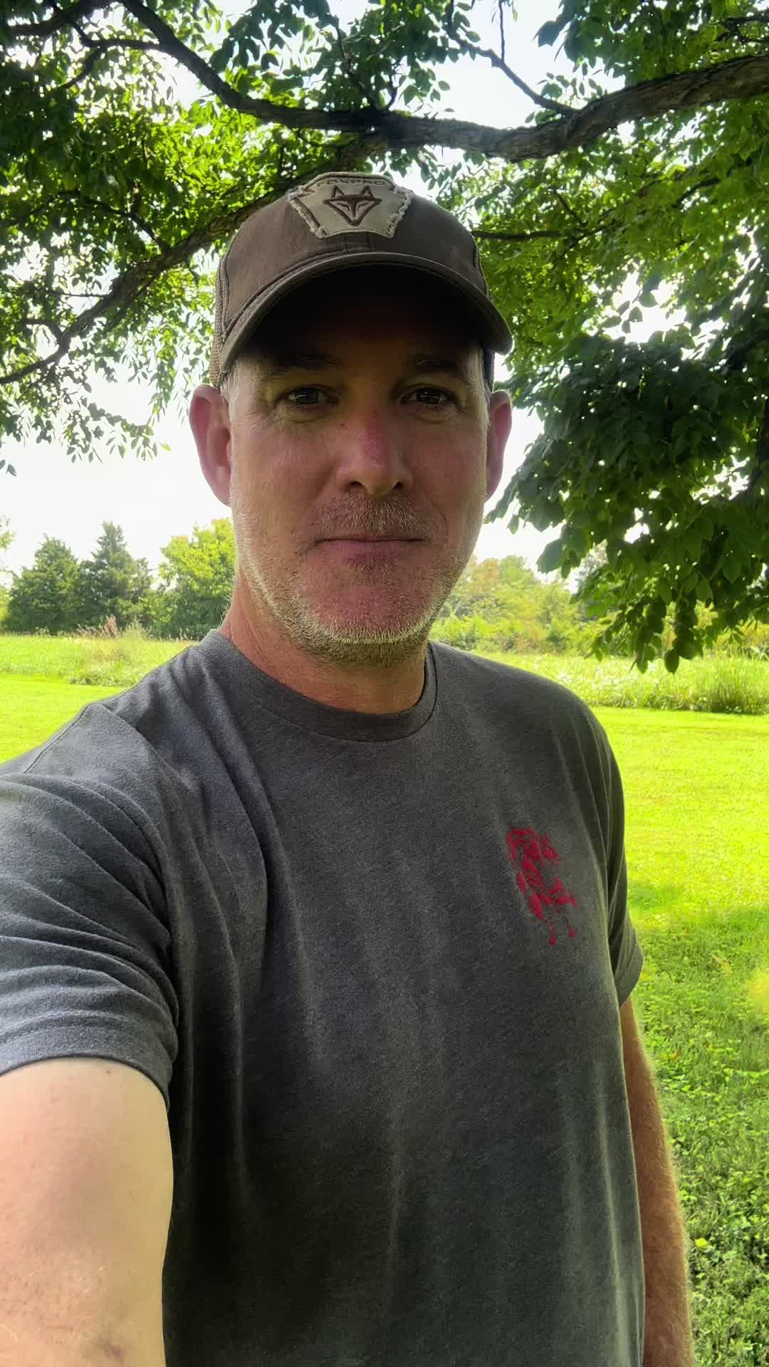@FOXPRO Game Calls