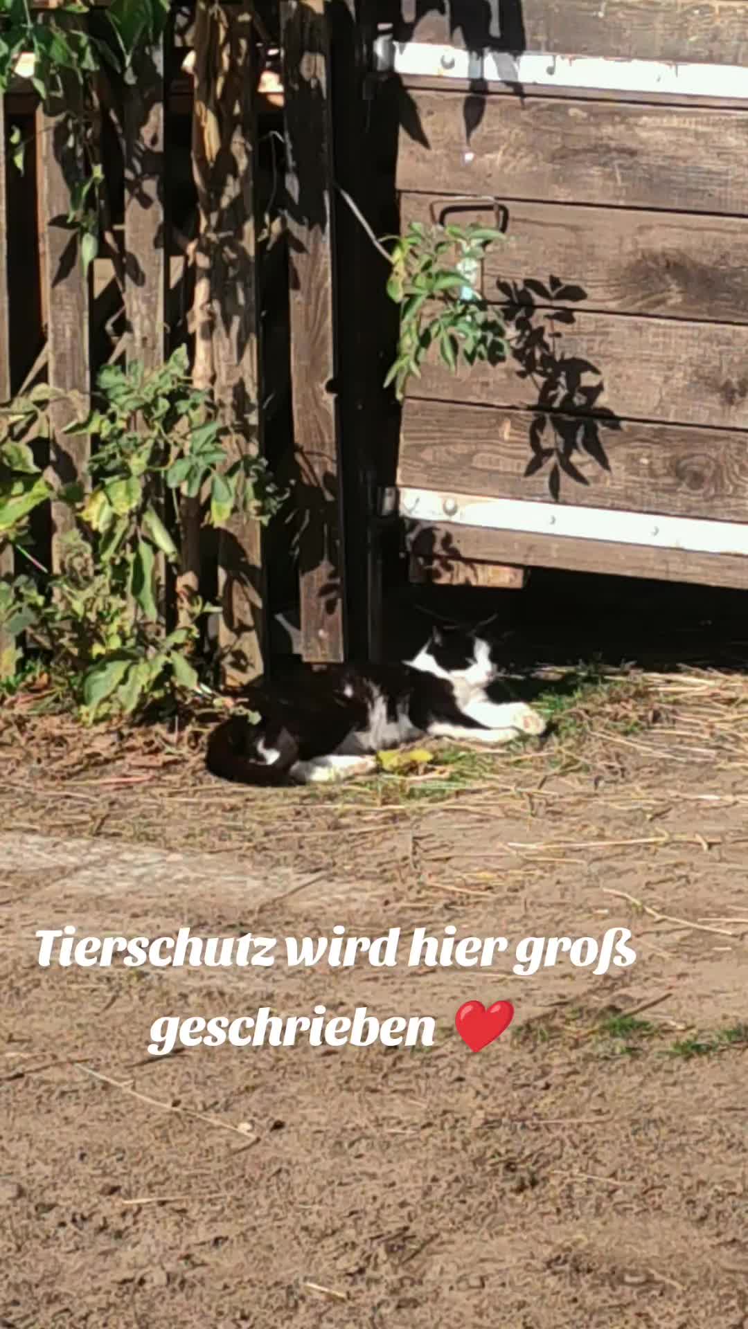 @Mandy Kr&uuml;ger