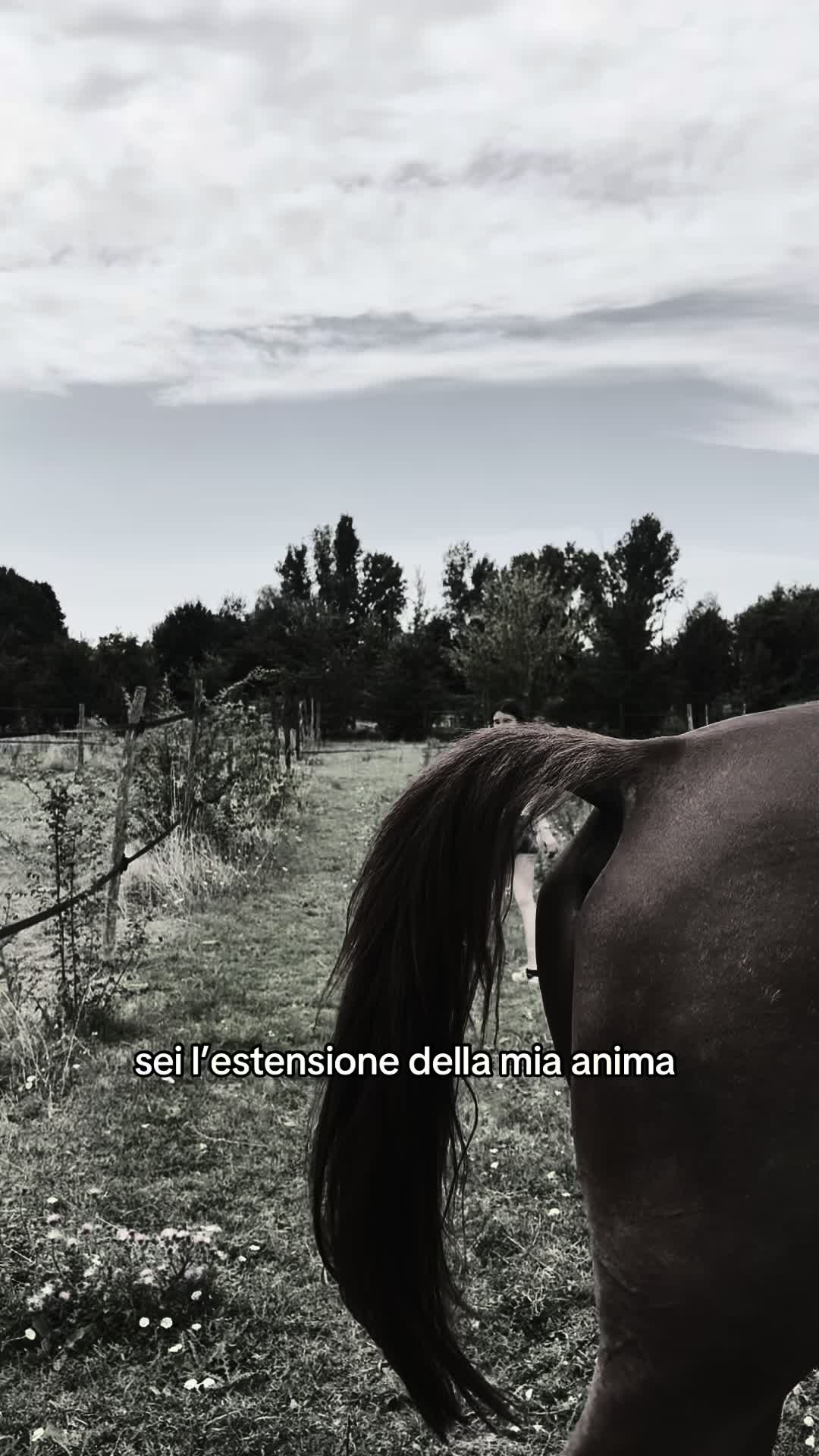 @Giulia Codicé