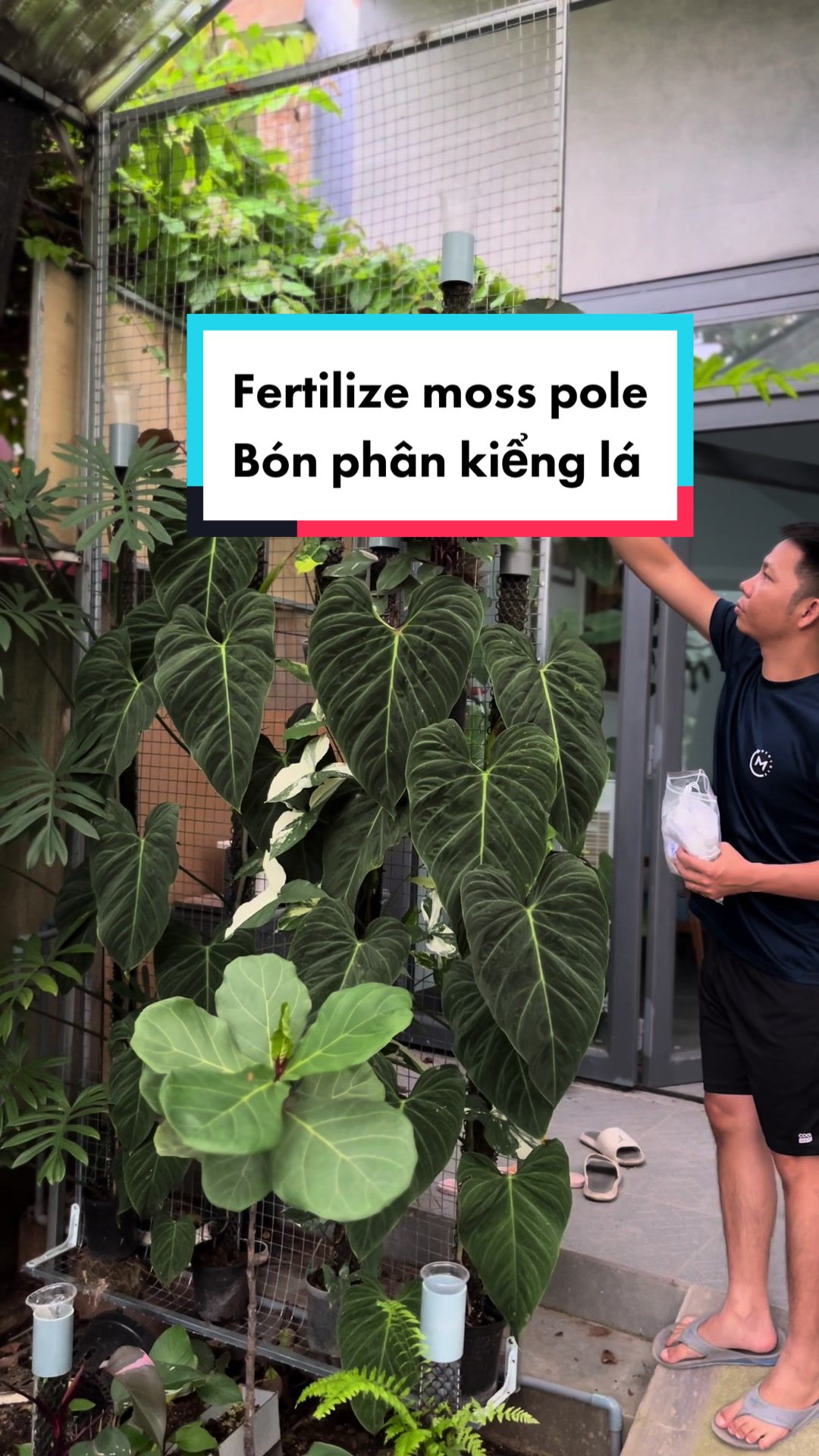 @Huy Kiểng L&aacute;