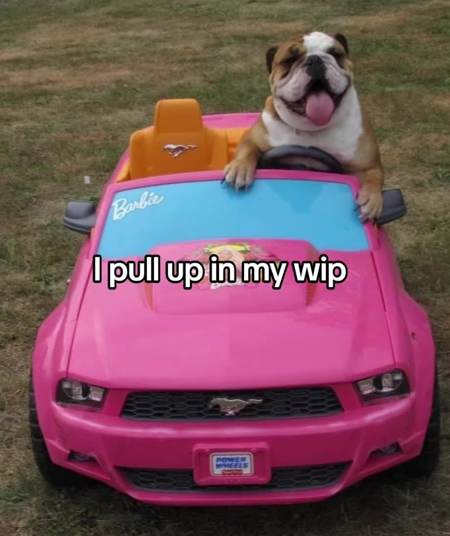 @Cruzzle_.Mcdruzzle