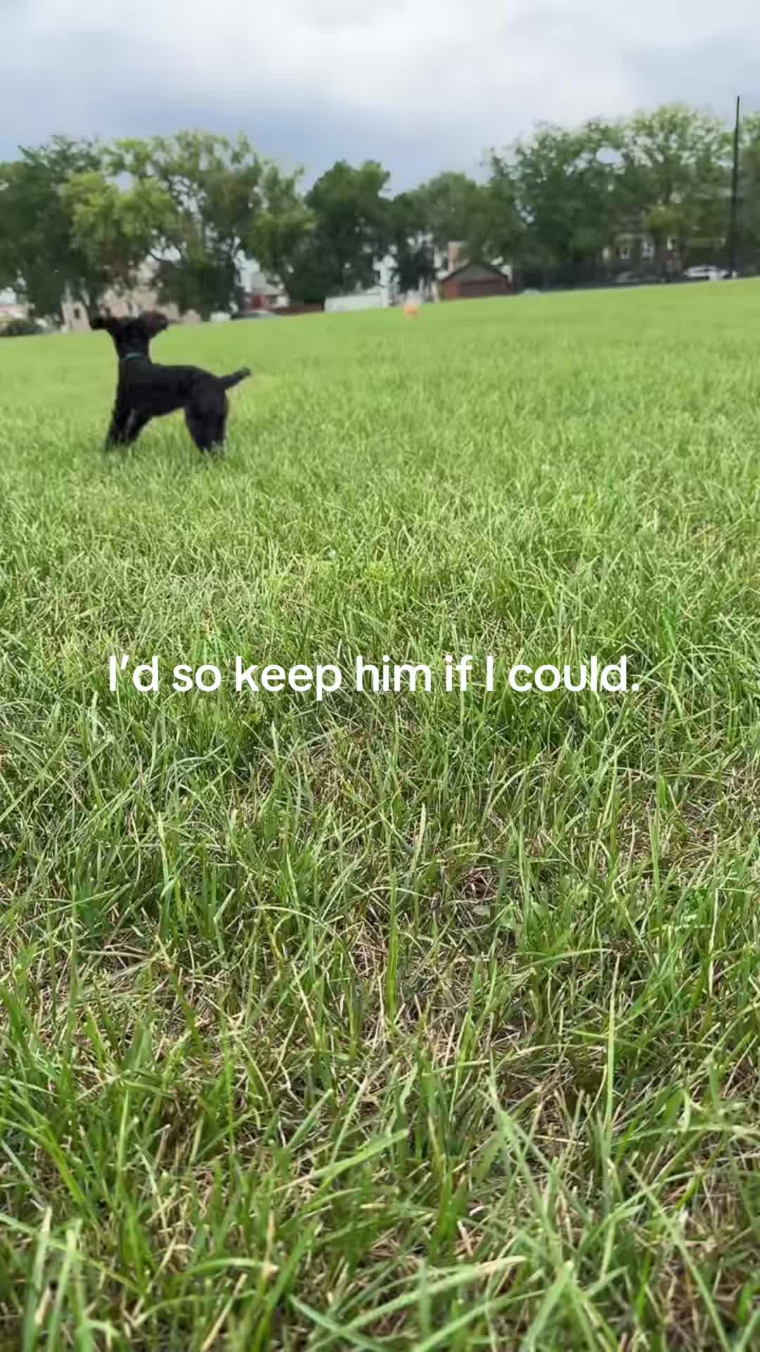 @packwalkdiaries