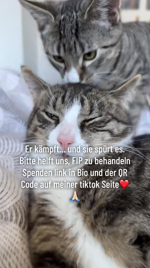 @helpsimba