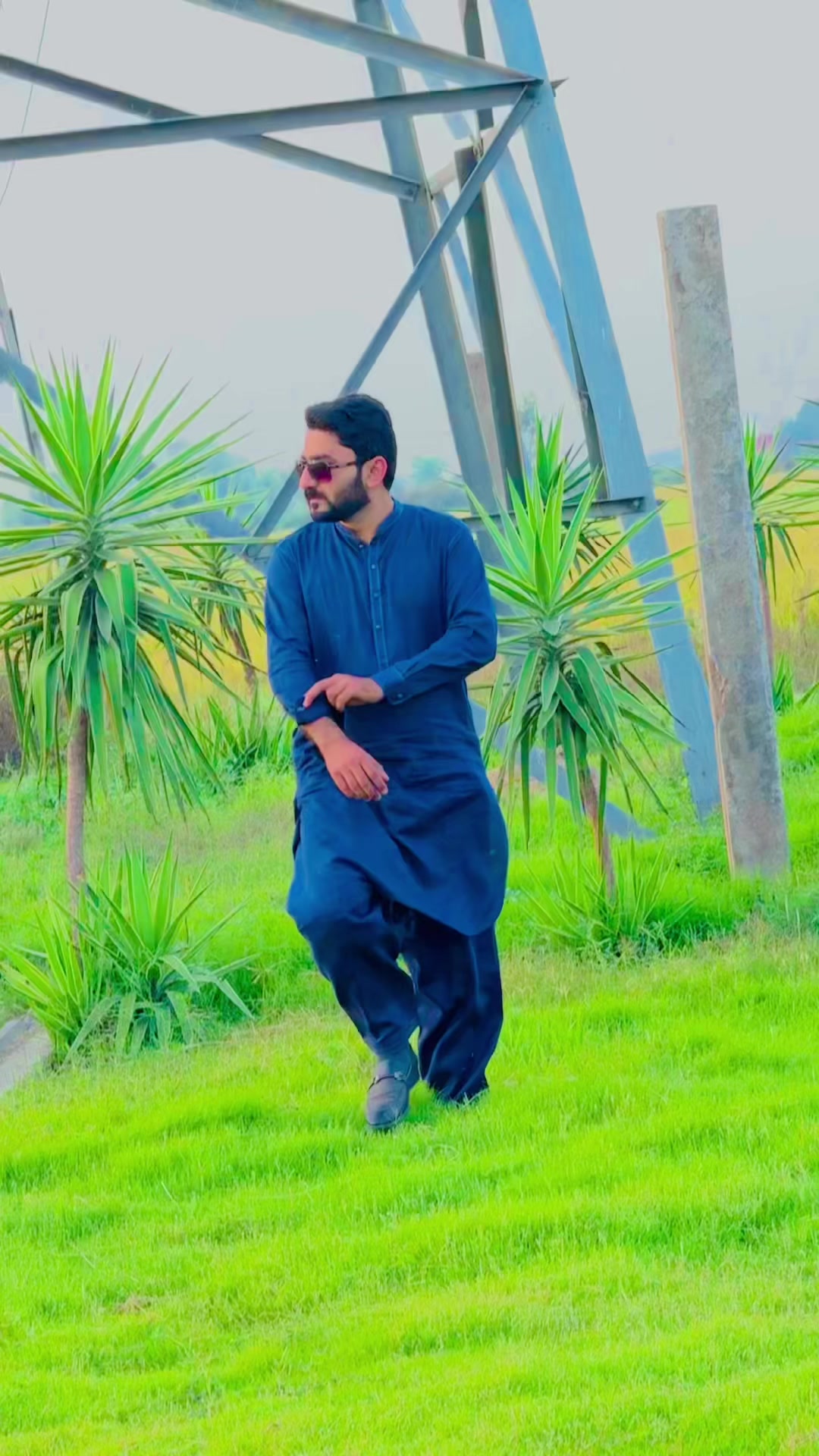 @Rana Shani