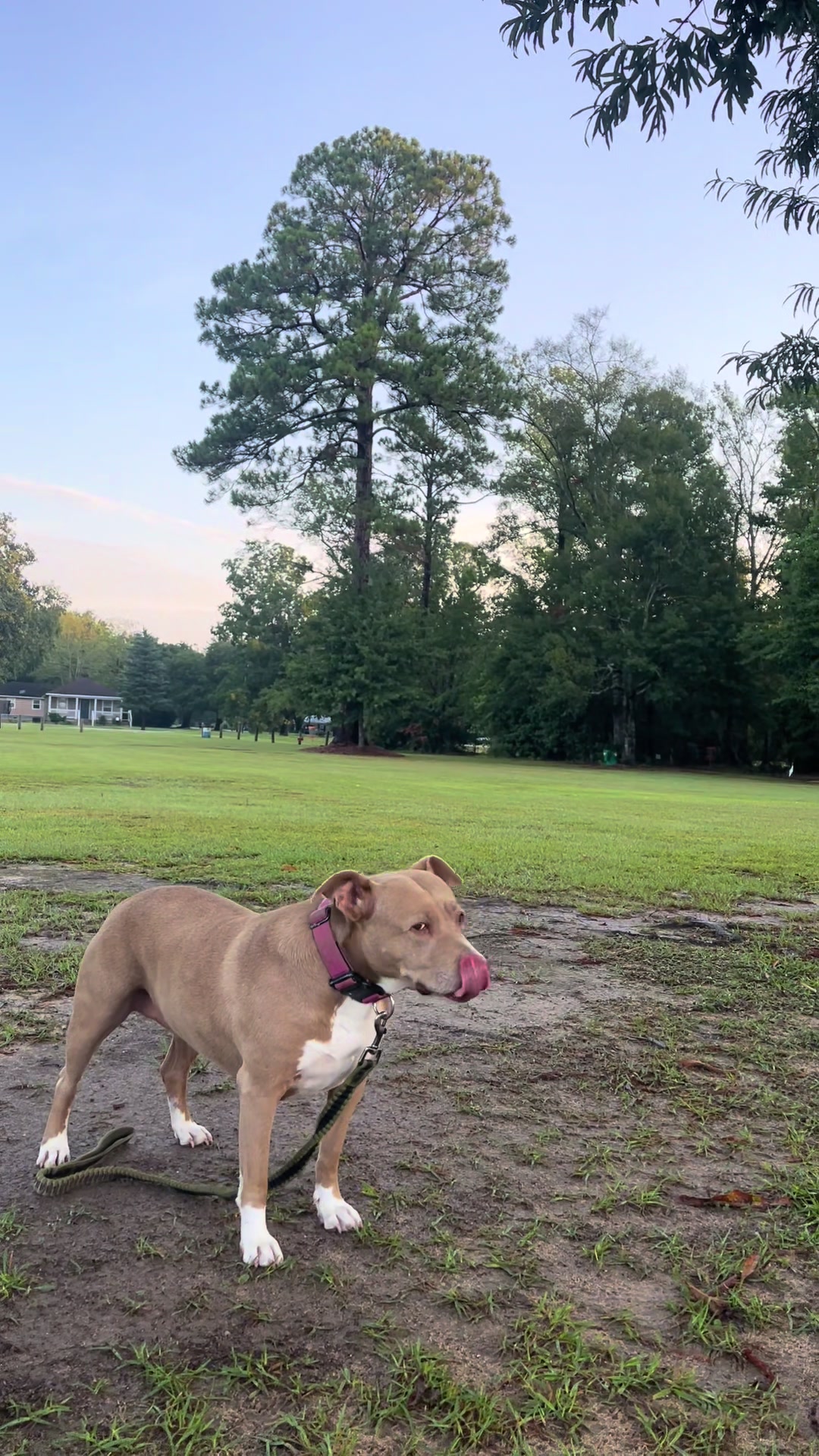 @Not The Worst Disc Golf