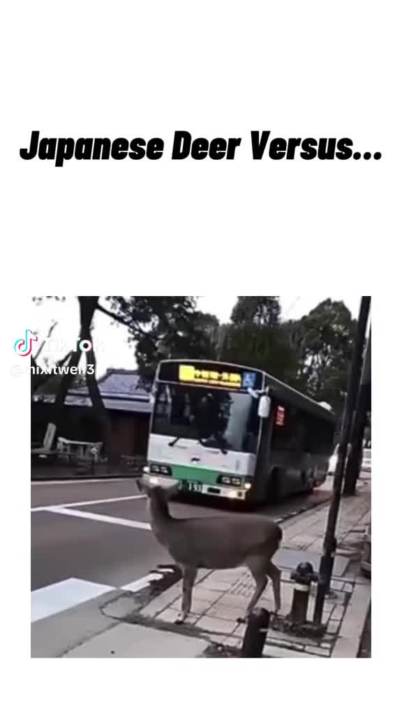 @Ariela