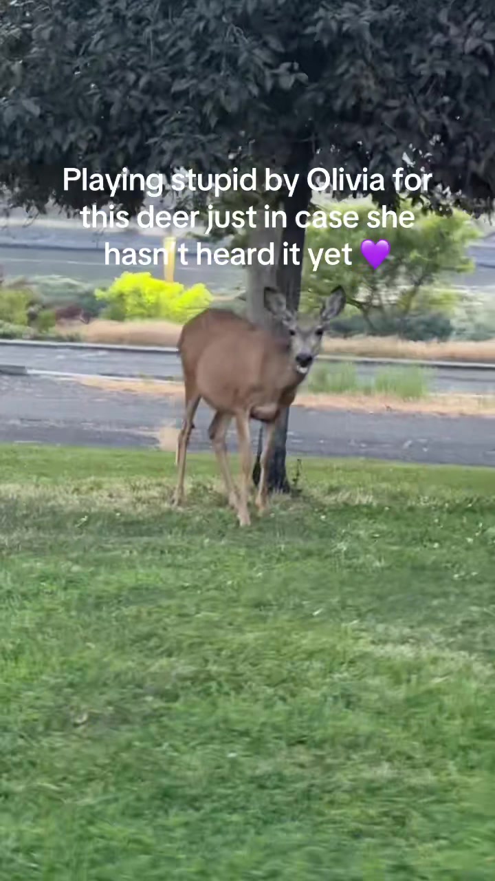 @TerrianneMarie
