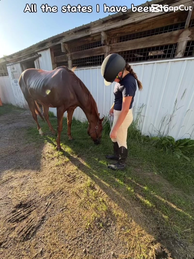 @keria_🌻🏇🏽💕