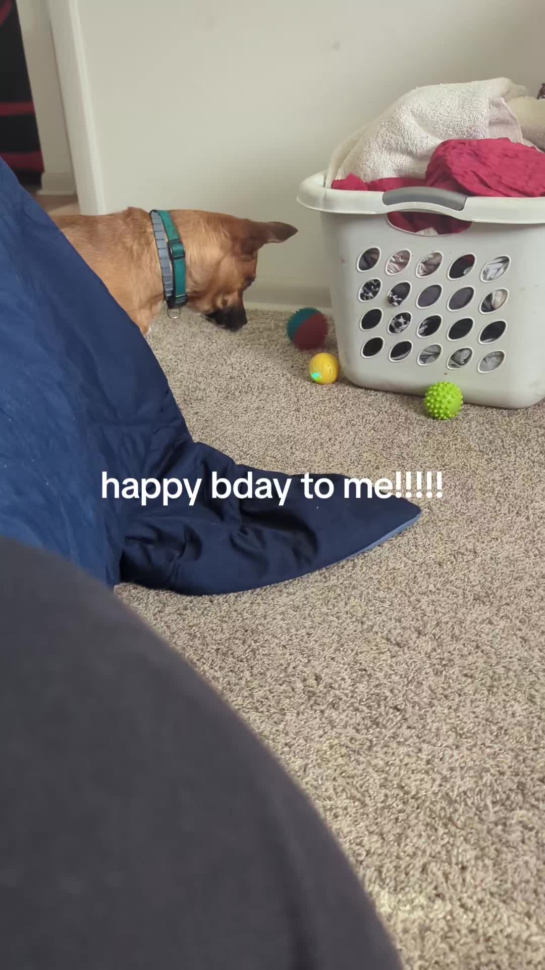@shugabear420