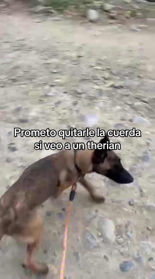 @Jose09🇲🇽