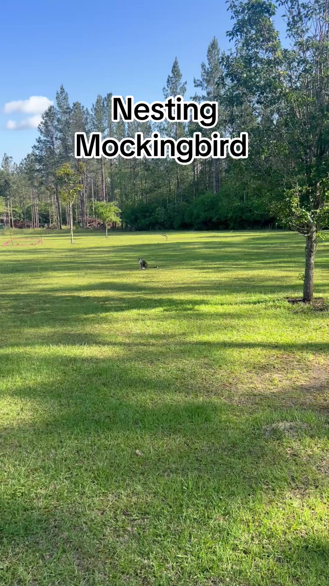 @devotedsportsmen23