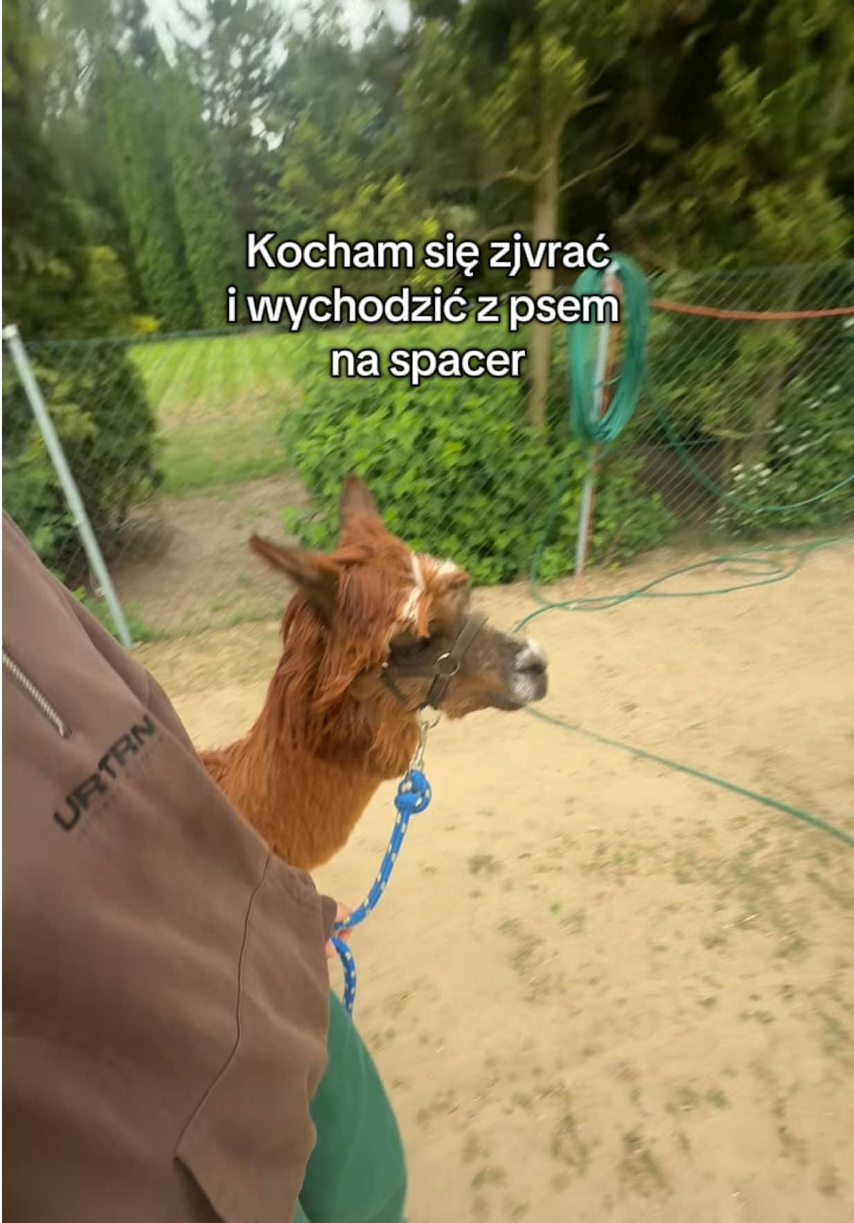 @julka