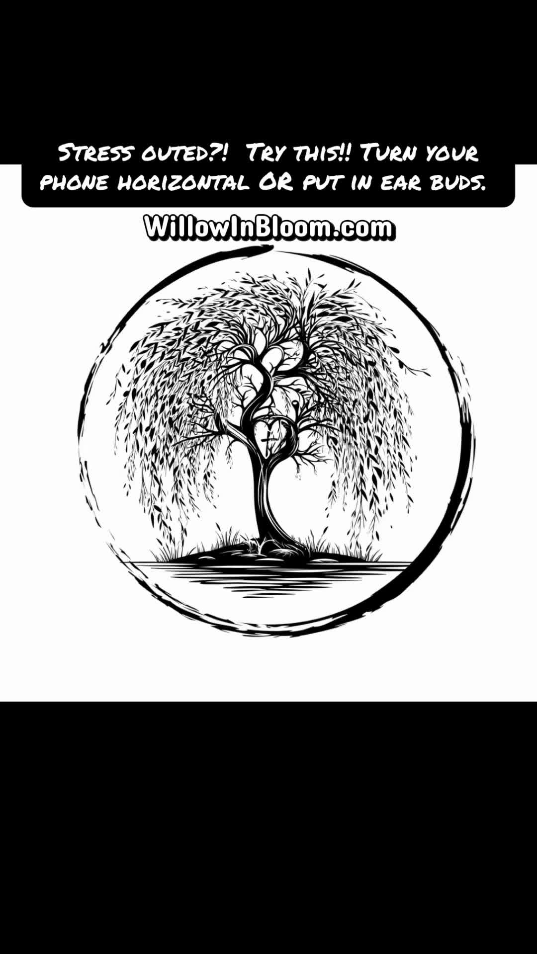 @willowinbloom