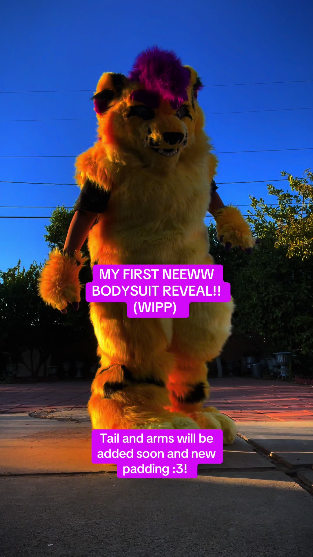@Wolfyy!! ‼️‼️