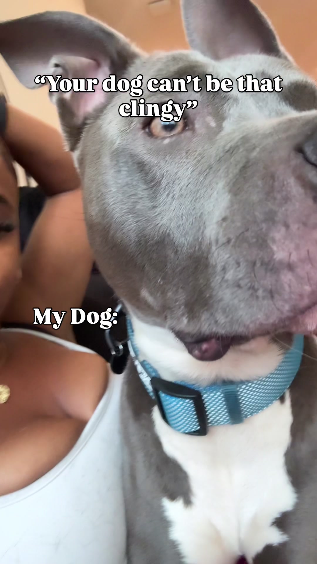 @G0ldenasia