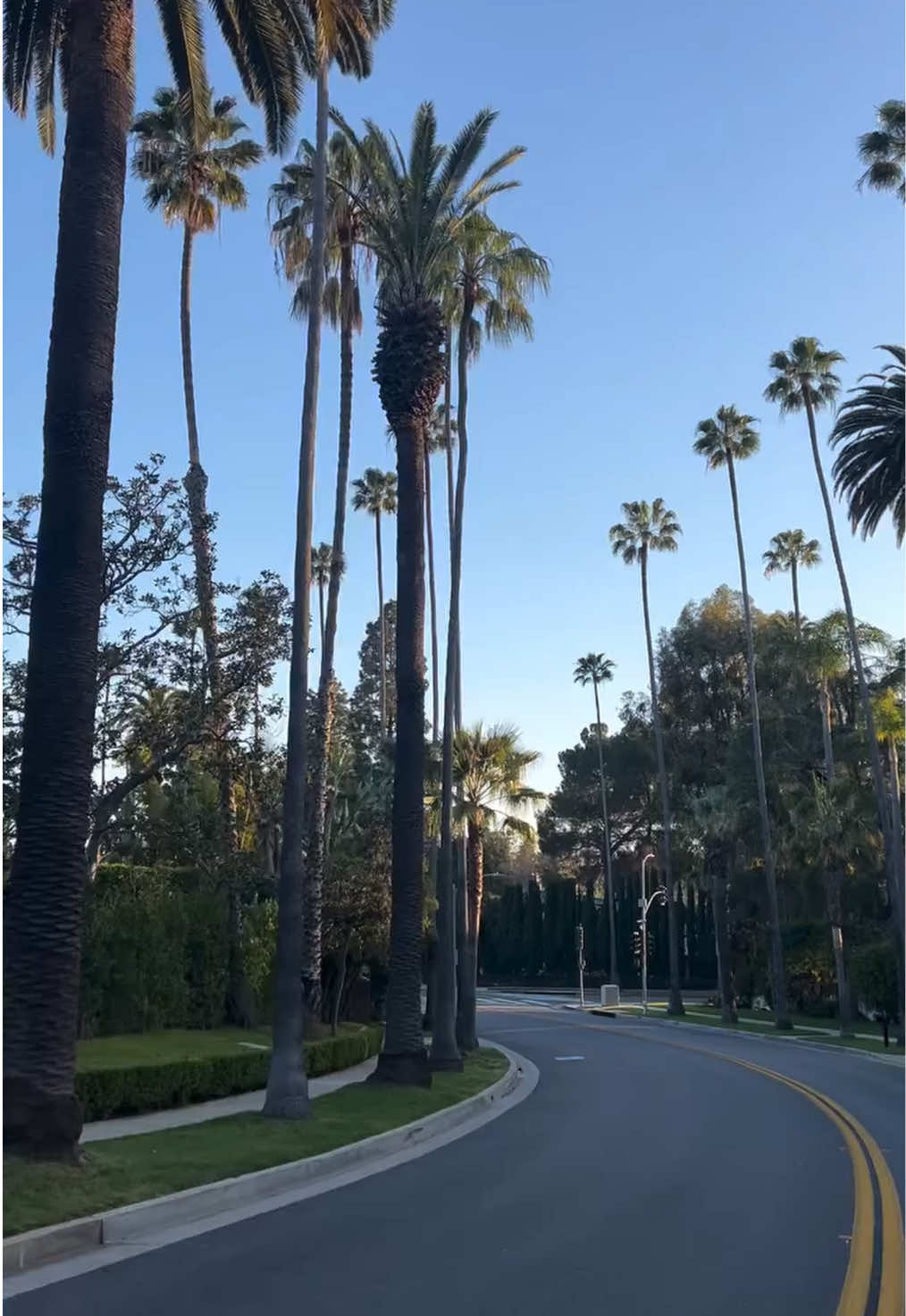 @Christie’s socal
