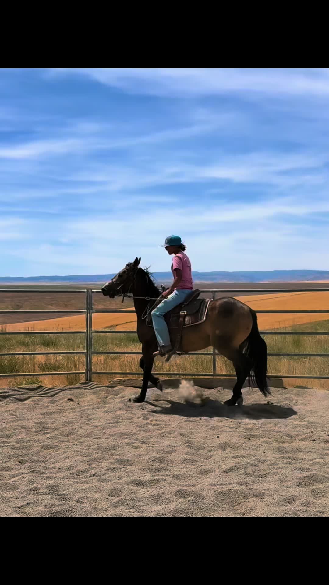 @Cowgirl Tuff Colt Training ❤️