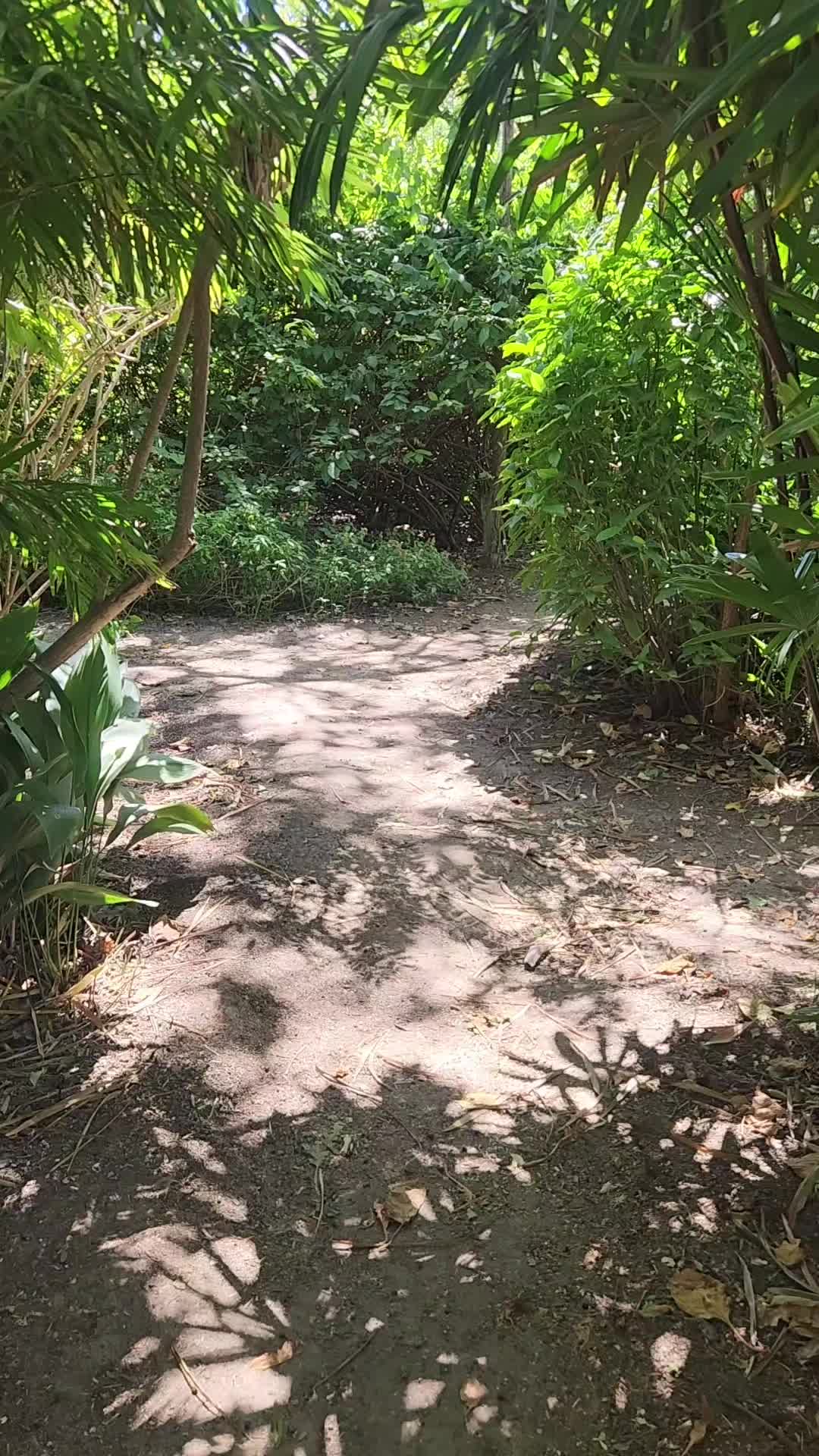 @ciscokid310