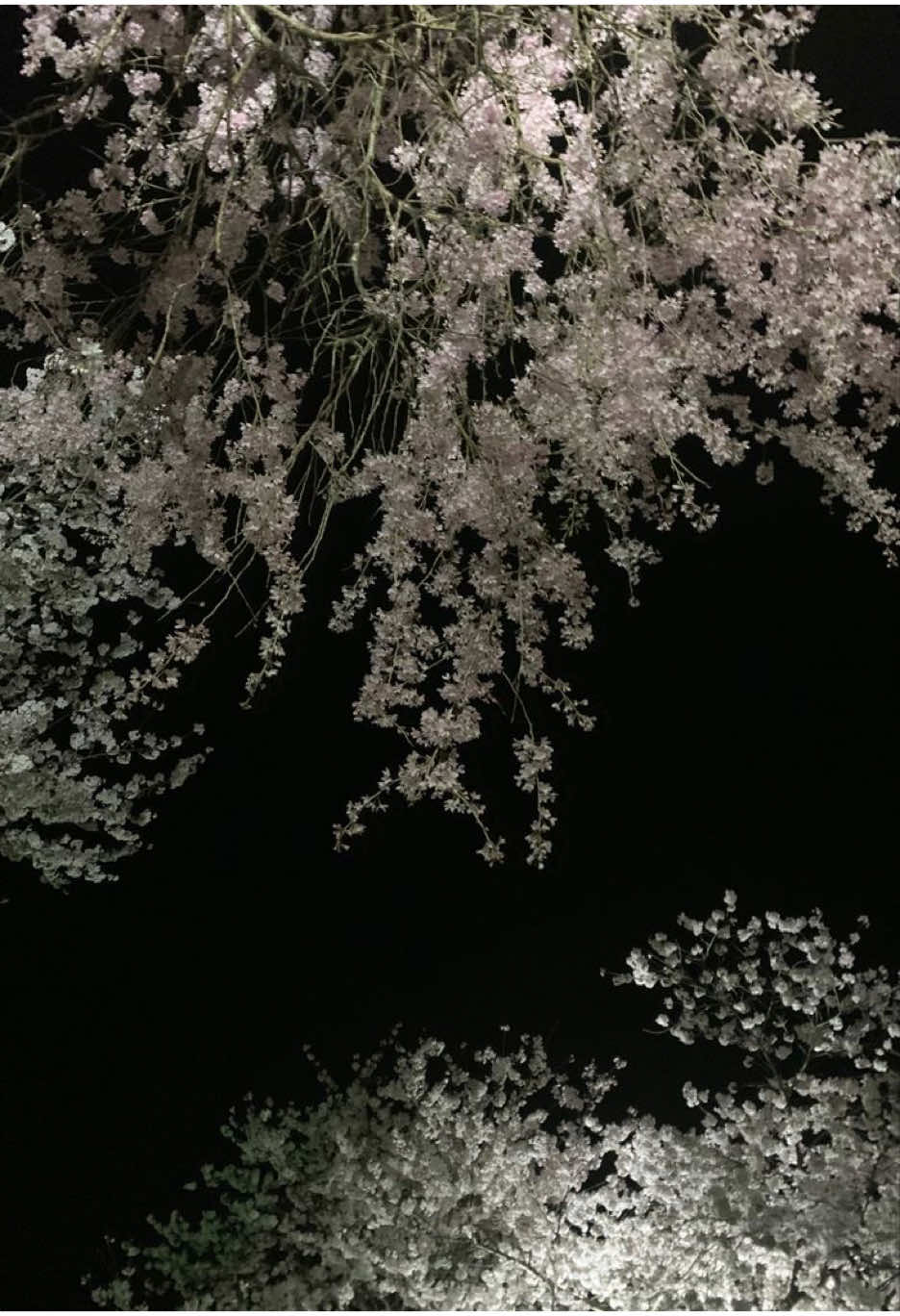 @Mimi ⟭⟬⁷// 𝐼𝑡𝑧𝑦