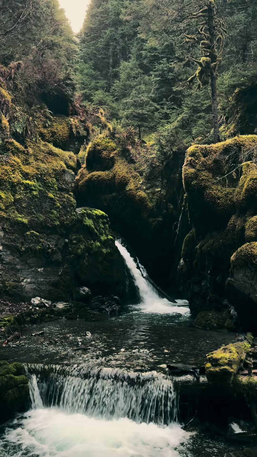 @AKventures | Wasilla Realtor
