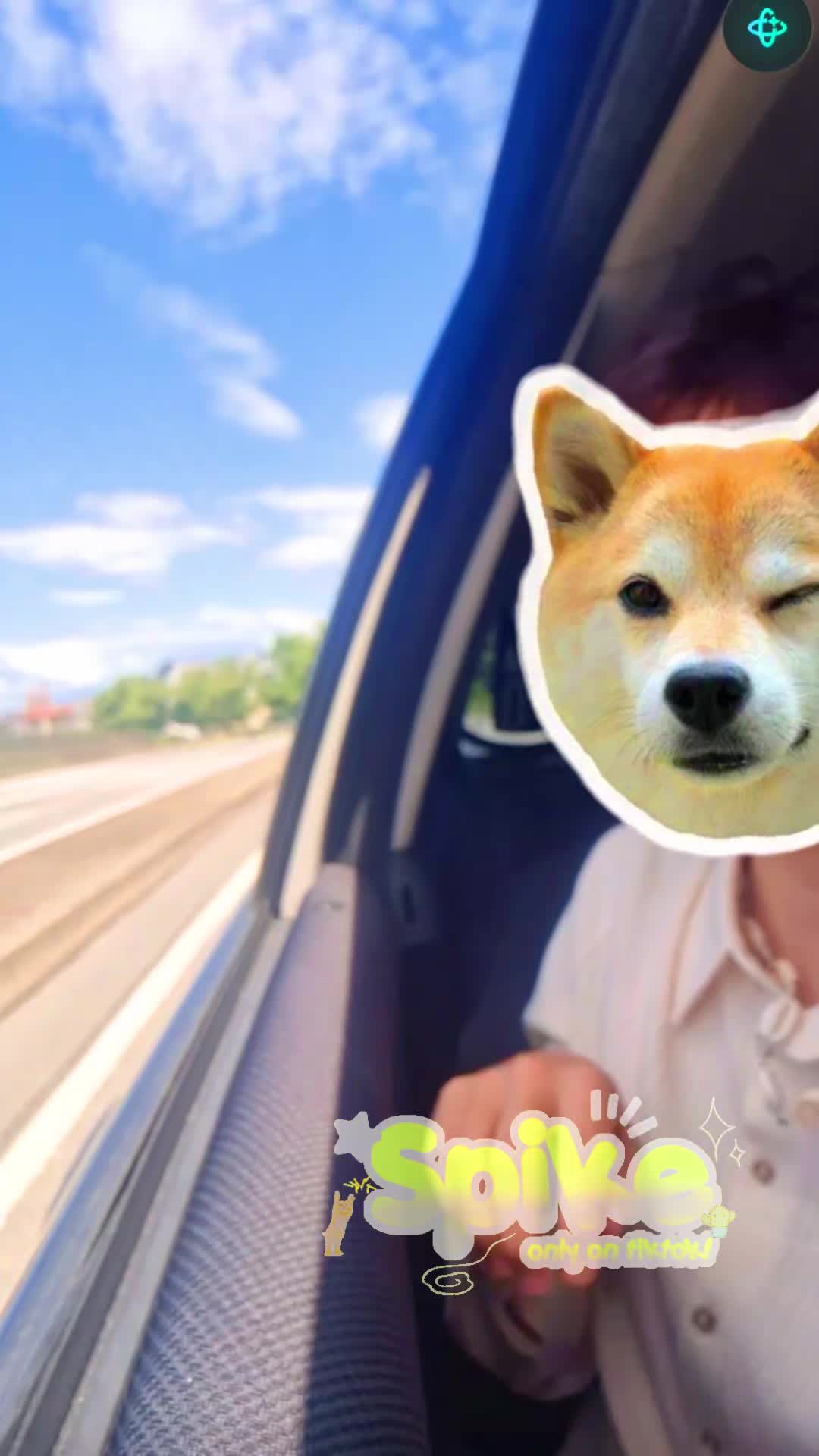 @꧁🐯⏤͟͟͞͞ꕷㄗꛈ𖤰𖤟⏤͟͟͞͞🌺꧂