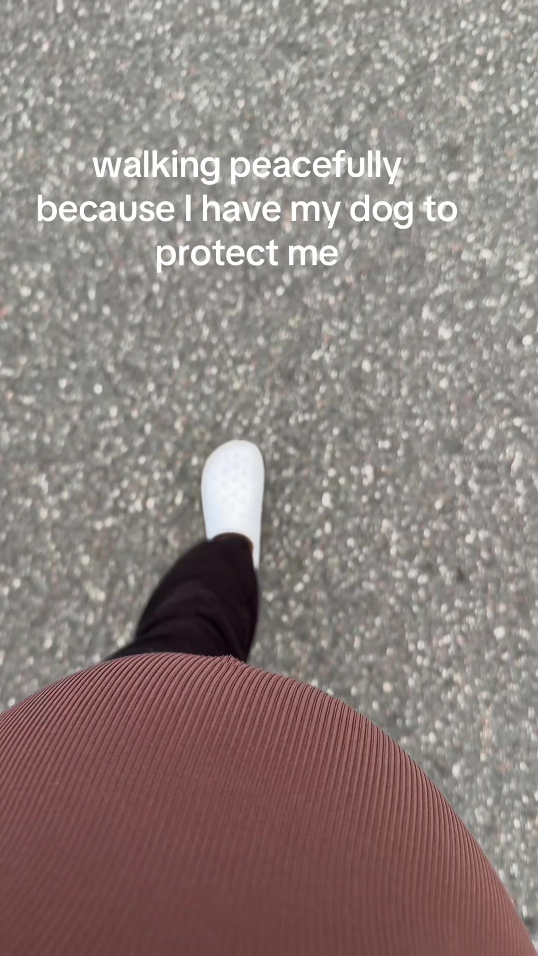 @fitboogie