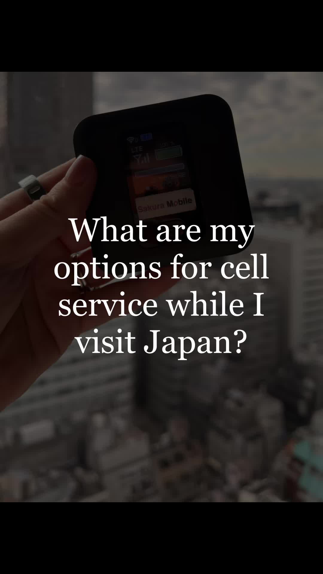 @mdvmitarashi