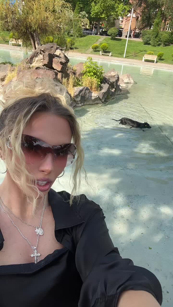 @gypsy.cartok