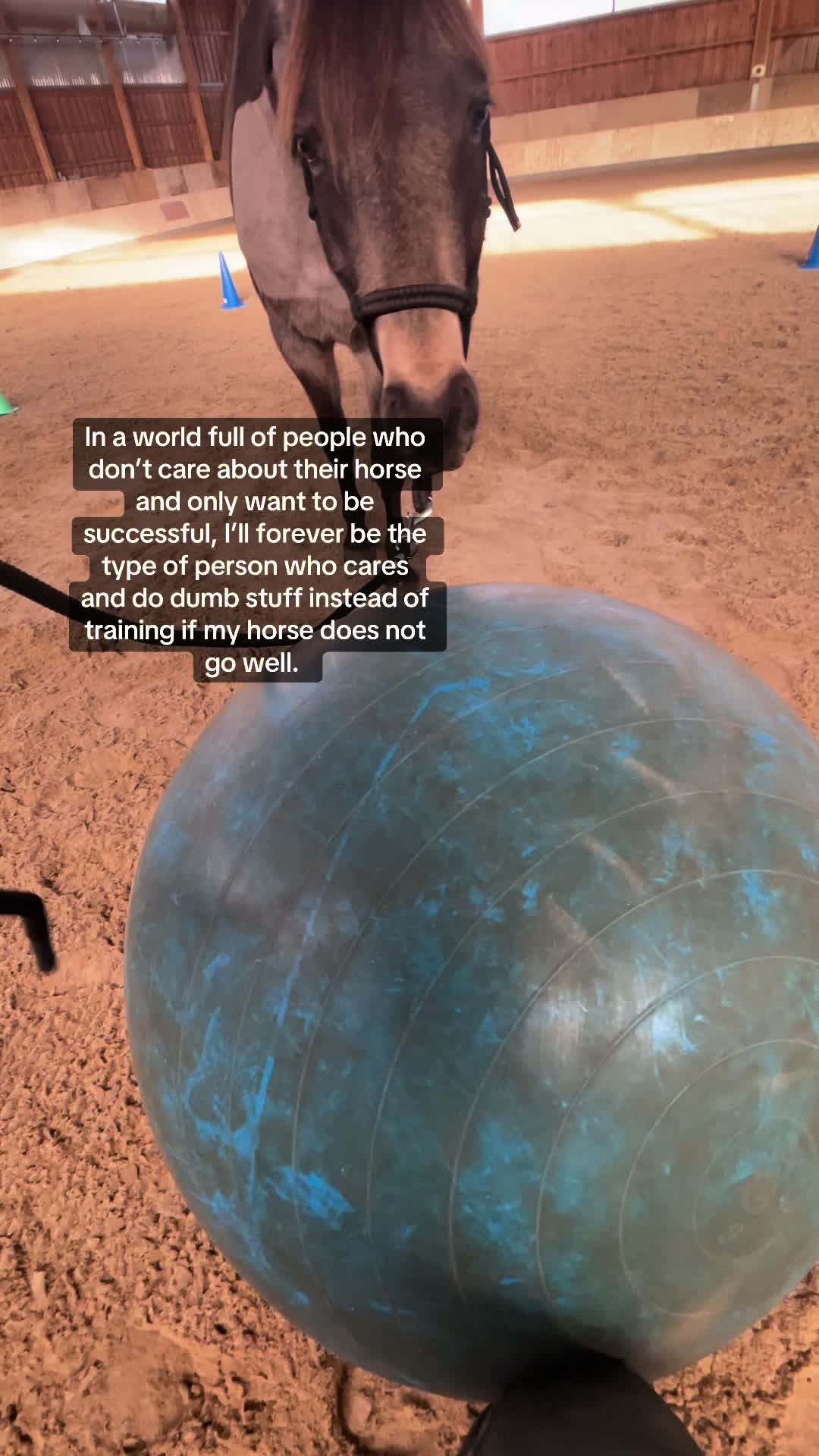 @amy.gfl