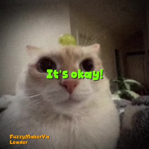 @FuzzyMakerYa