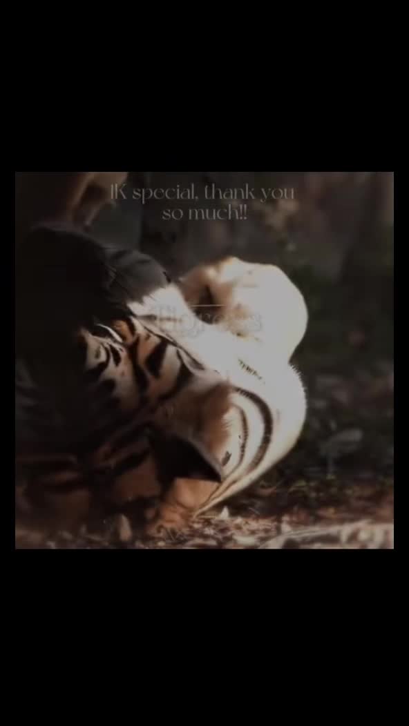 @ღ # 𝑻𝑰𝑮𝑹𝑬𝑺𝑺. 🐅 ❦