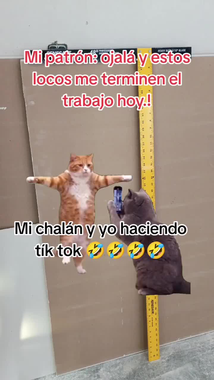 @⚡️Ruanger_motivacion⚡️
