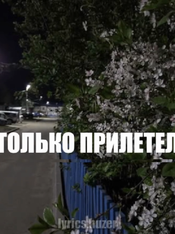 @тгк:huzzerr