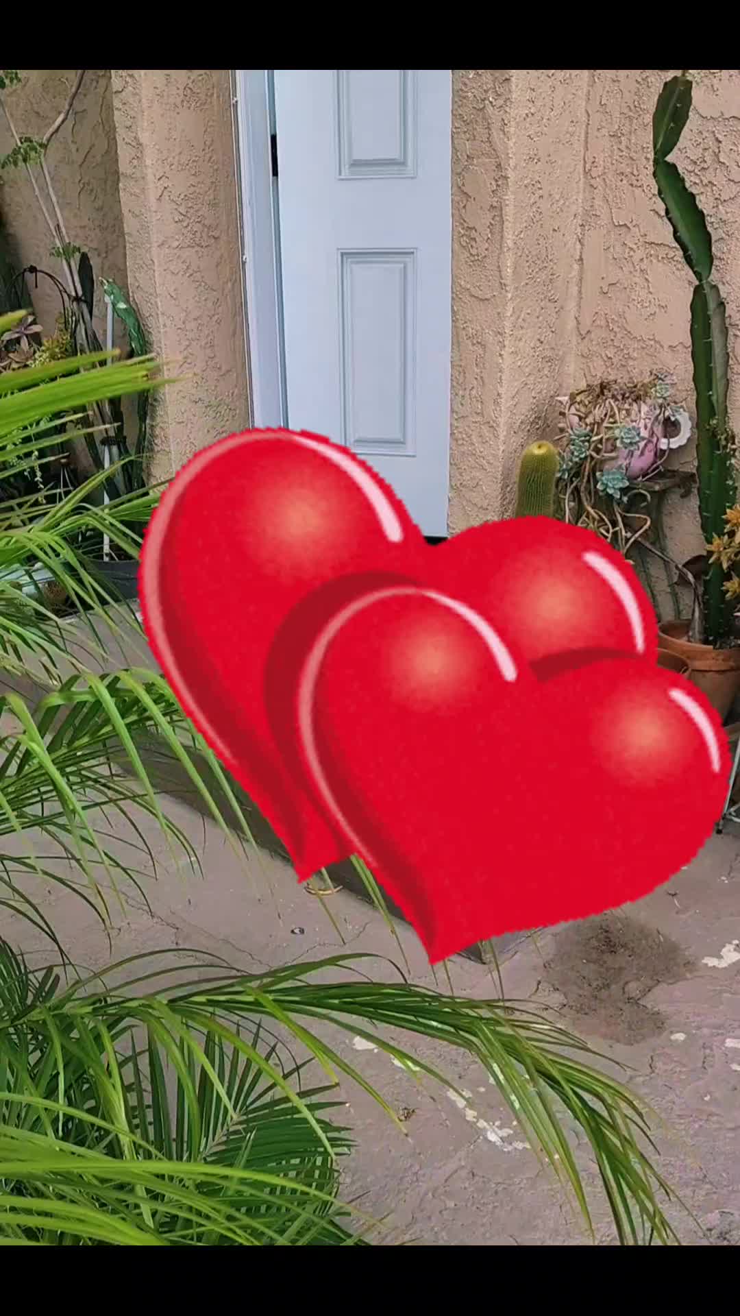 @Alexandra Santillan