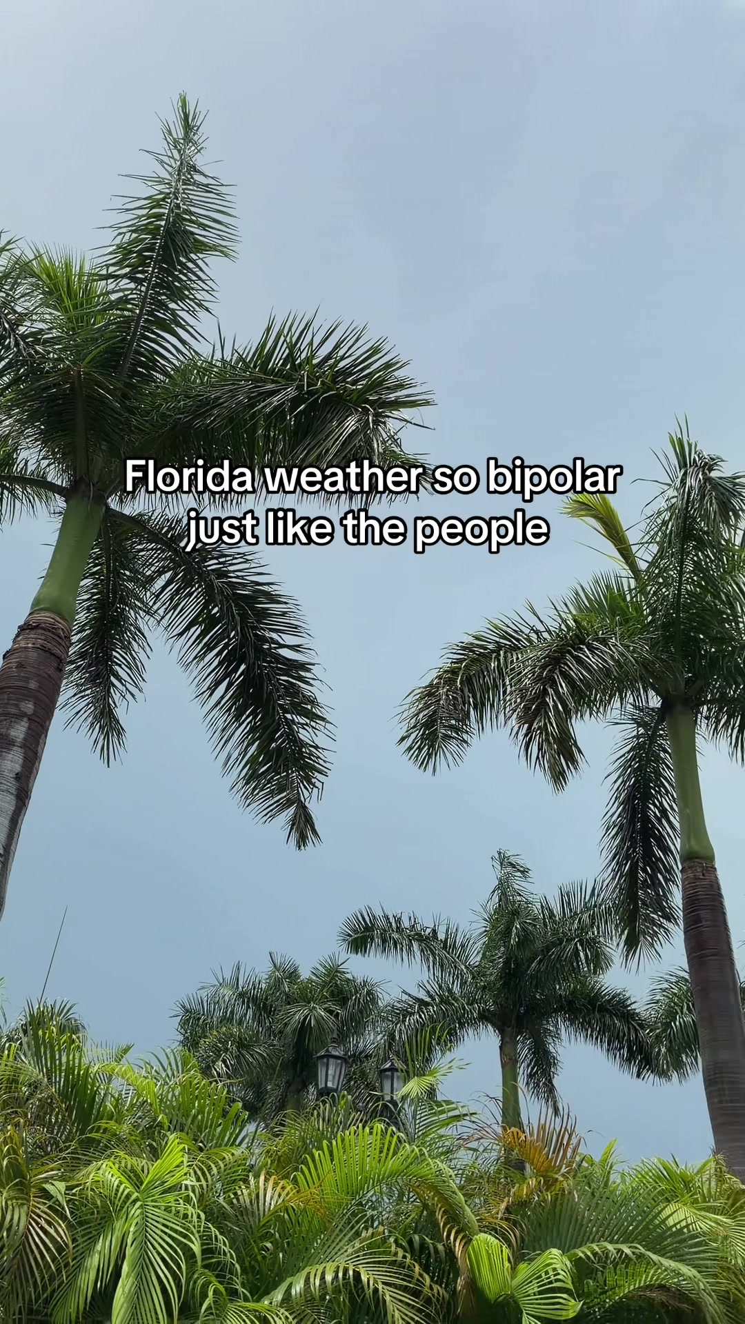 @floridanpc305