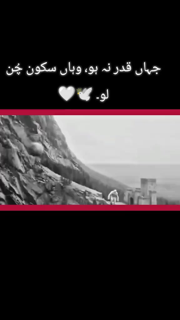 @itx-usama💫366