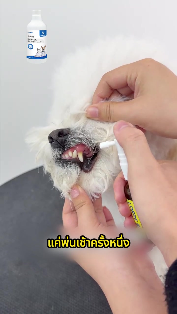 @เจียงเจียงคังคัง