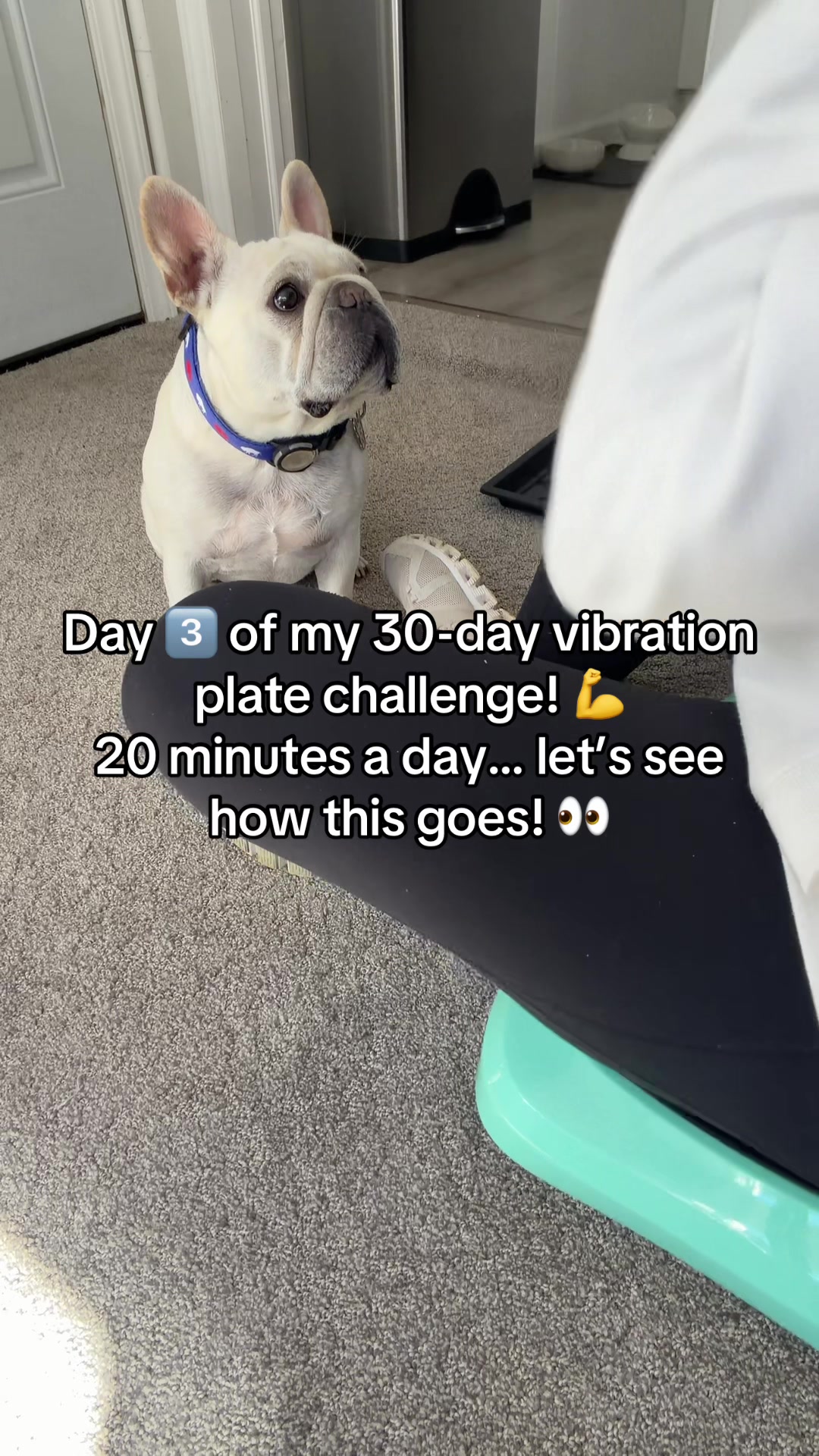 @Bagel the OG Frenchie