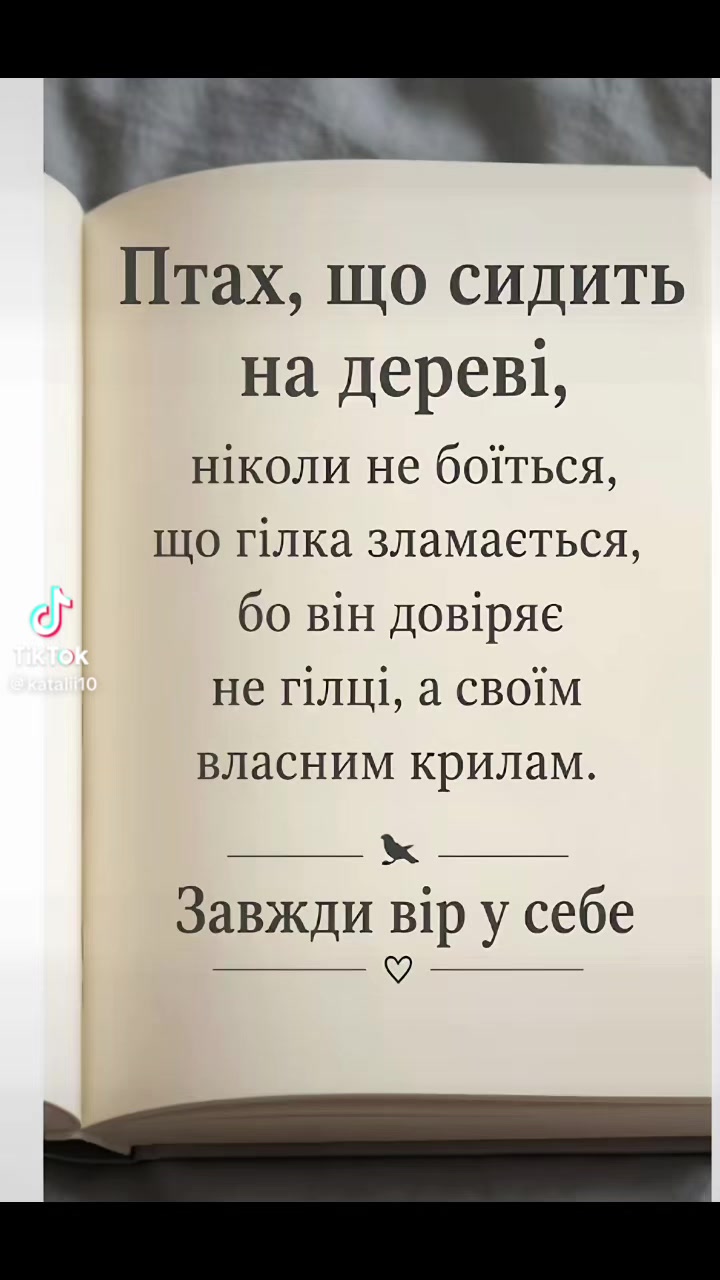 @Vitalina89