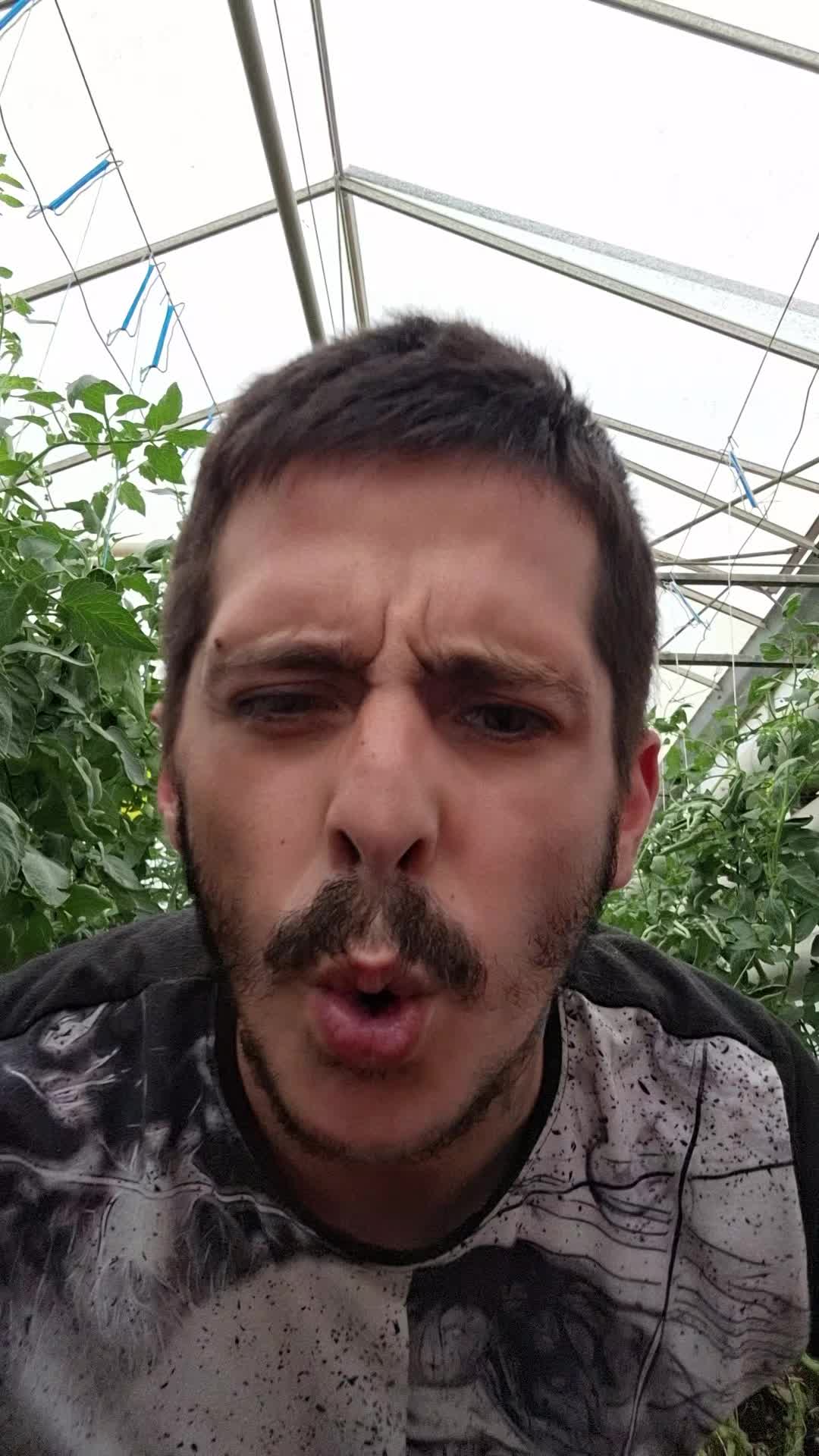 @🍅🚜L’agriculteur🚜🍅