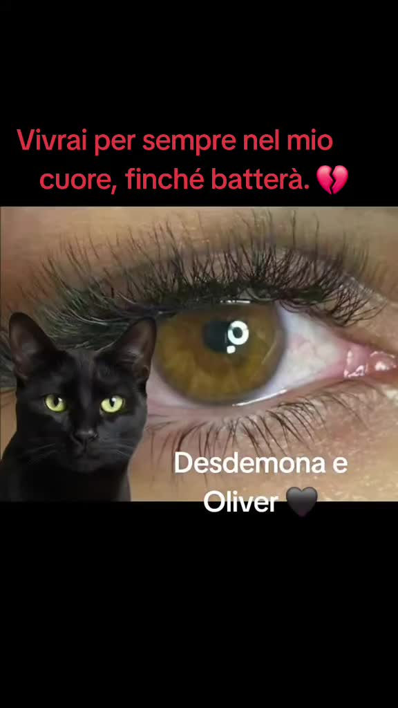 @Desdemona