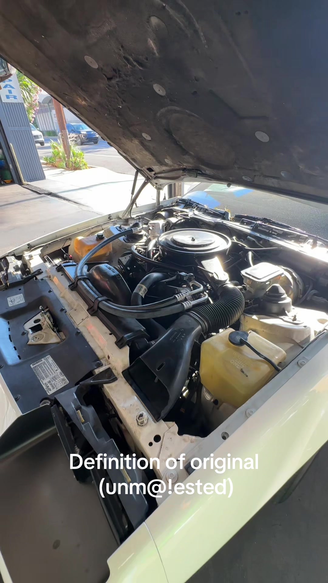 @Bubbasperformance
