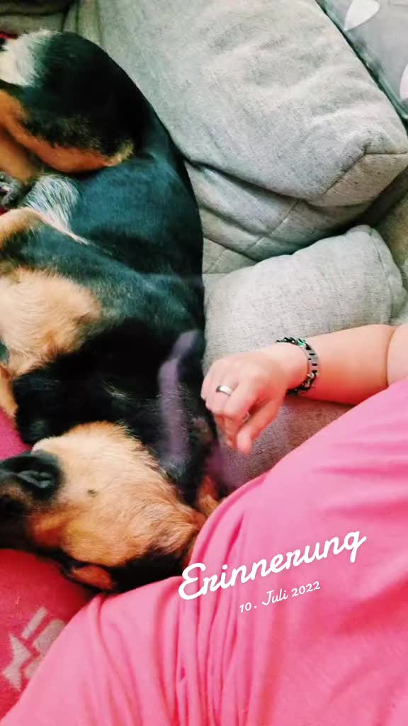 @Freiwildmama20