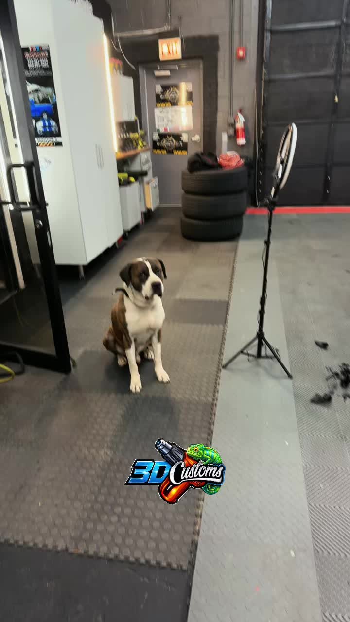 @3D Customs Garage