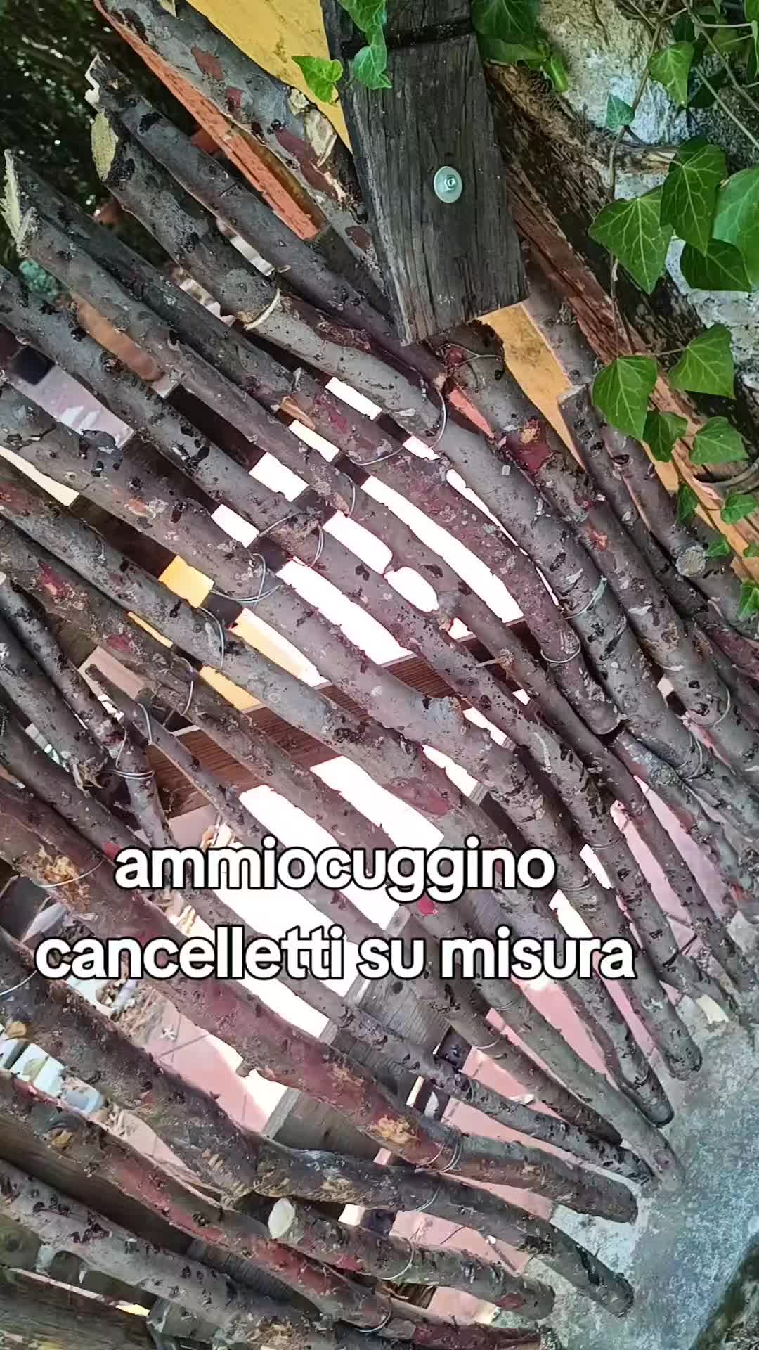@Antonio sh