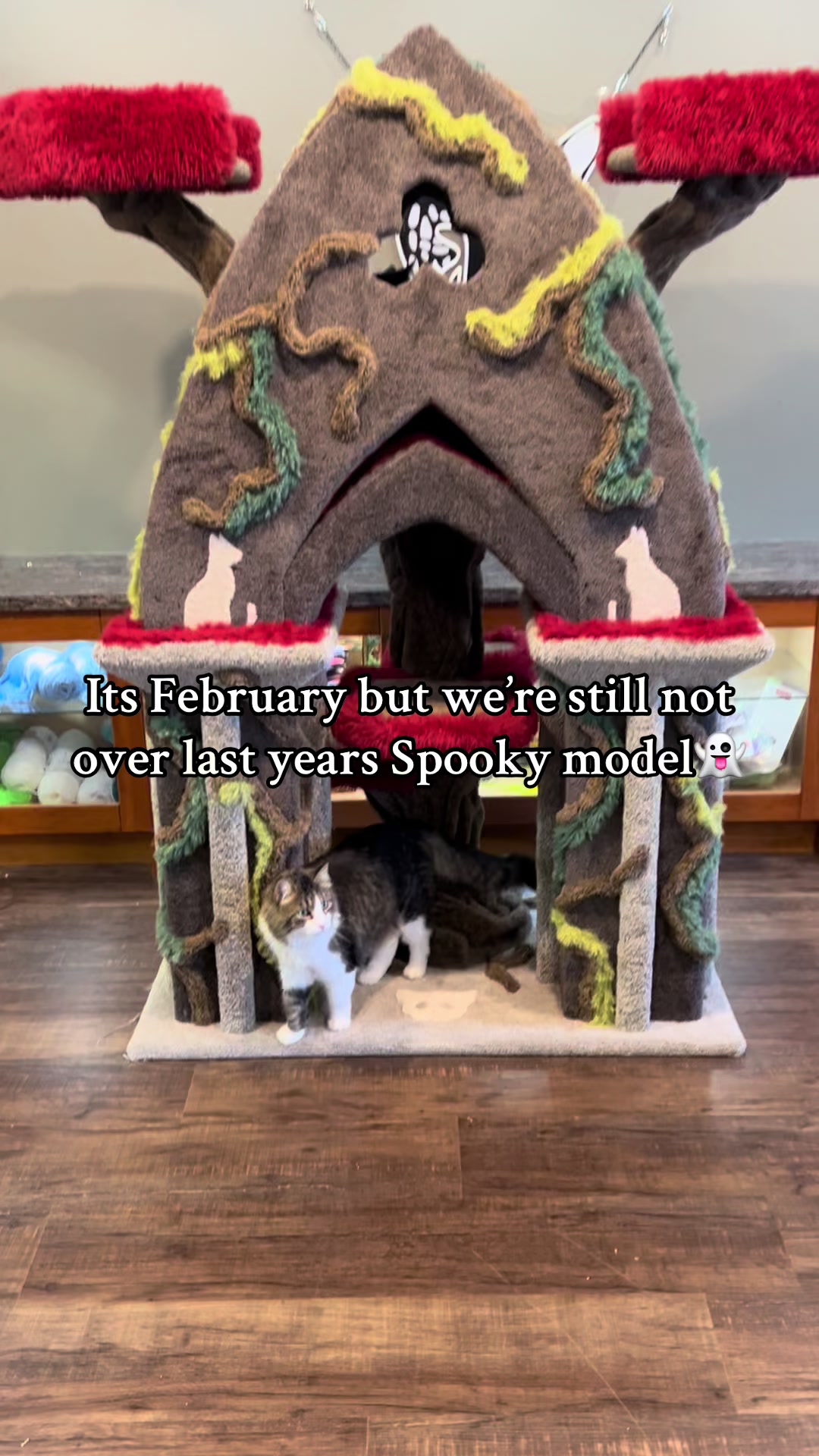 @customcatcribs