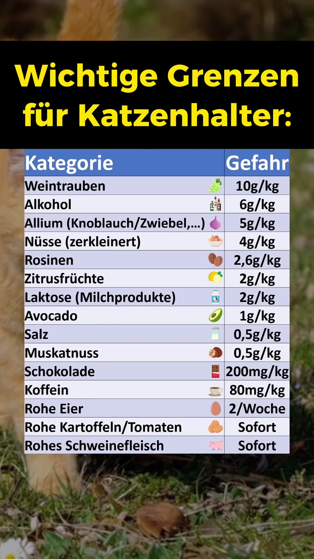 @finanzdenker