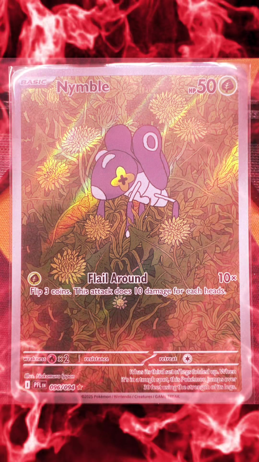 @C.N.G. PokeHunt